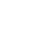 Lösungskompetenz Icon