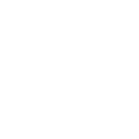 System Icon