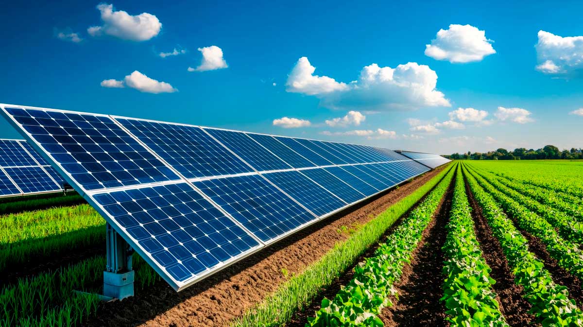Freiflächen-Solarpark mit GEPVOLT Batteriespeicher